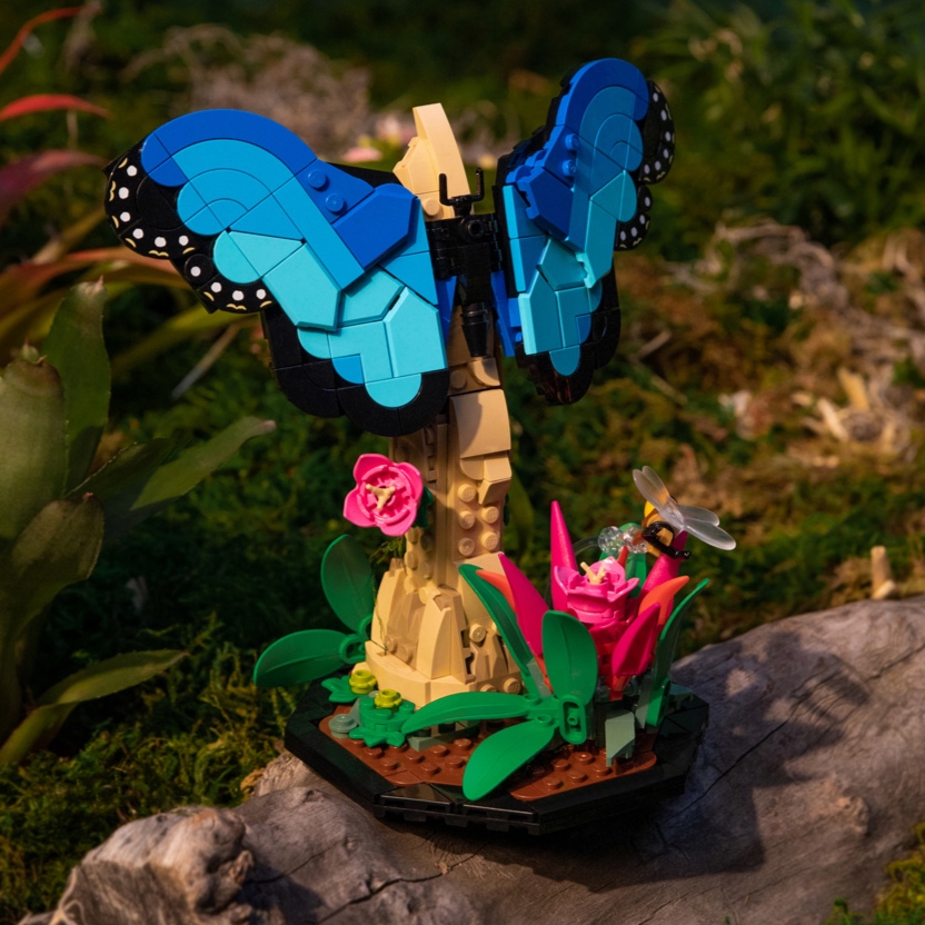 LEGO Ideas Insect Collection (21342) Set Officially Revealed!3