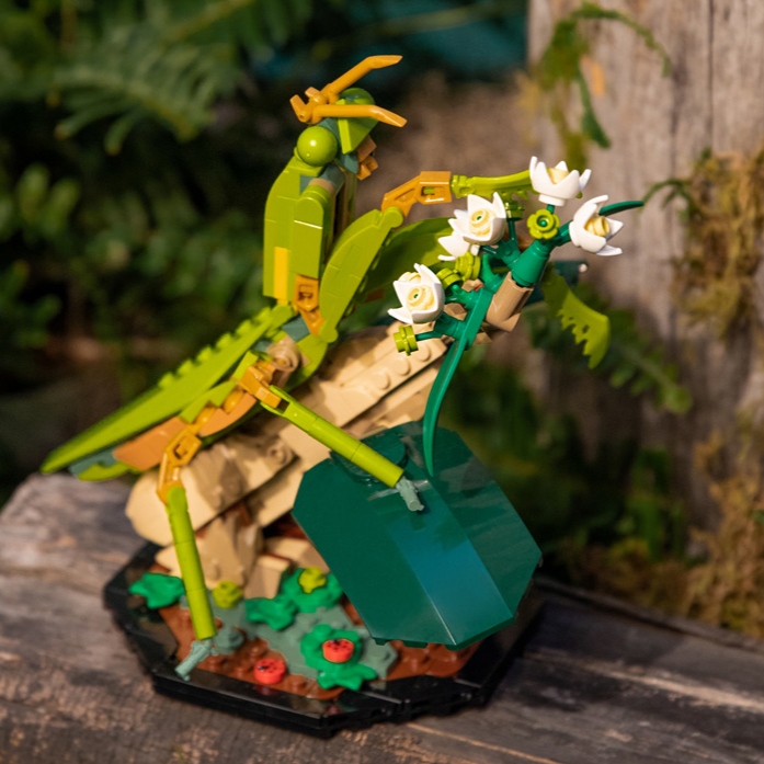 LEGO Ideas Insect Collection (21342) Set Officially Revealed!6
