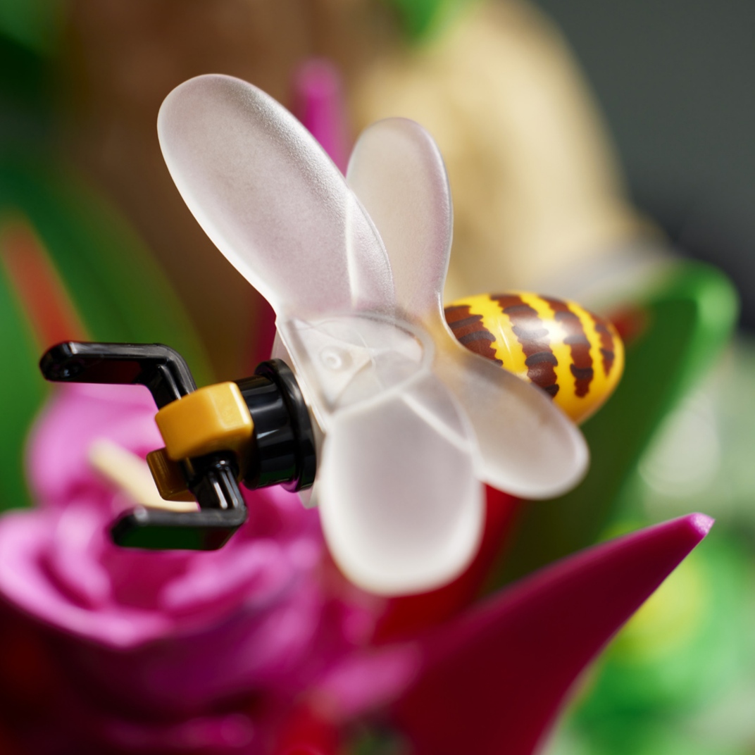 LEGO Ideas Insect Collection (21342) Set Officially Revealed!4
