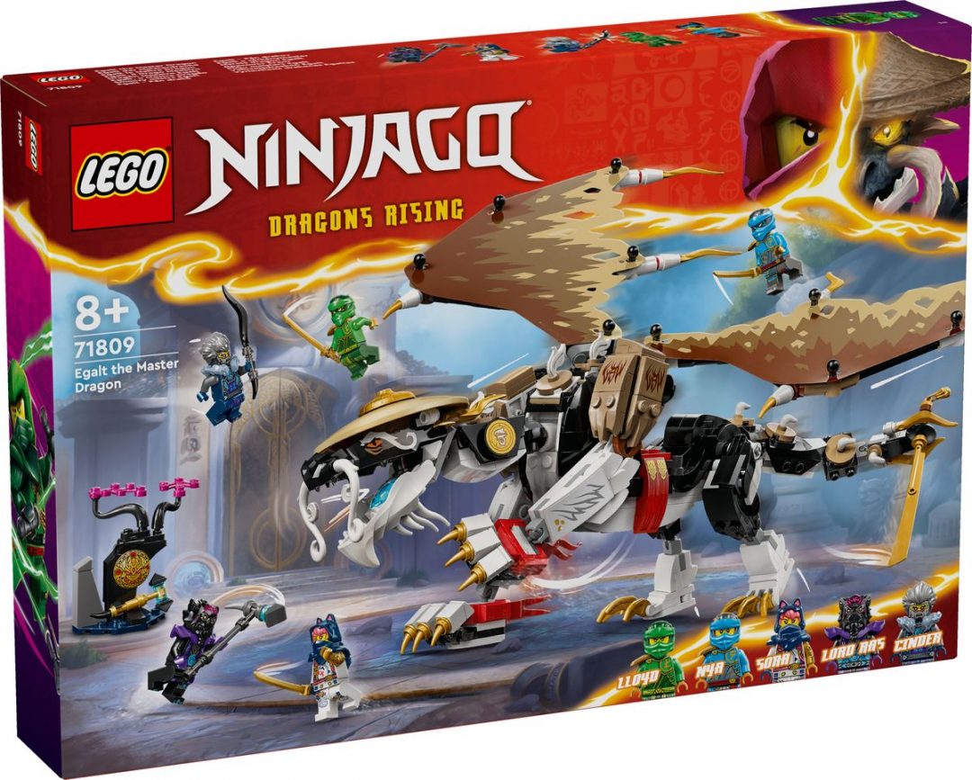 New LEGO Ninjago 2024 Sets Revealed!9