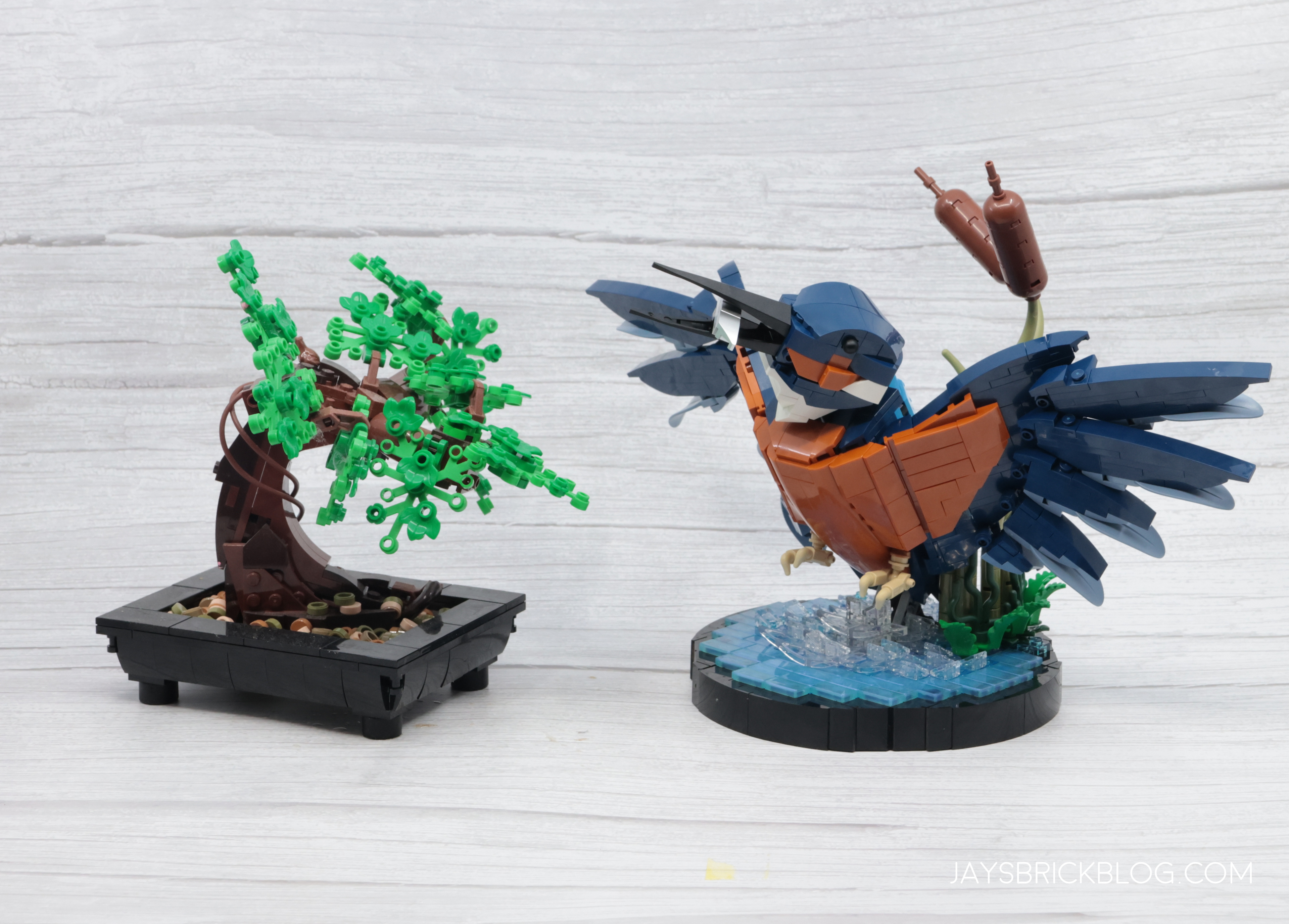 Review: LEGO 10331 Kingfisher Bird25