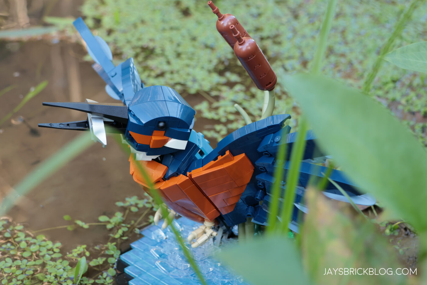 Review: LEGO 10331 Kingfisher Bird31