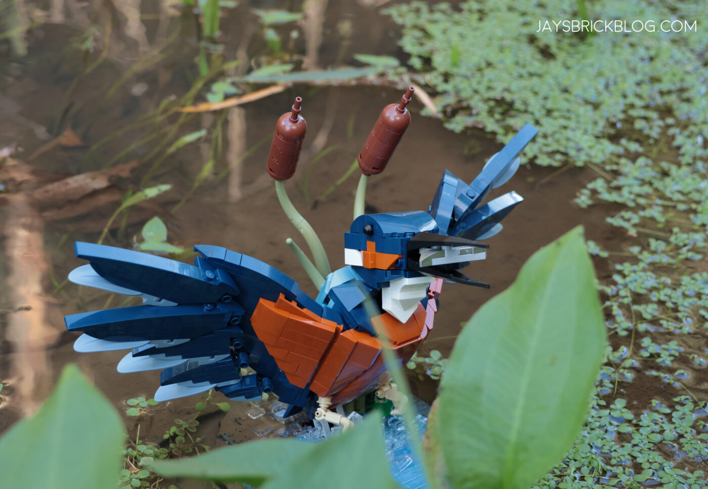 Review: LEGO 10331 Kingfisher Bird30