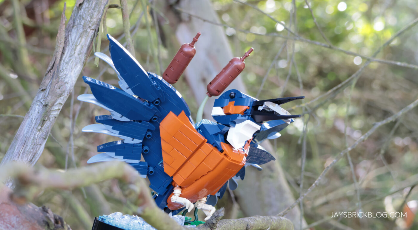 Review: LEGO 10331 Kingfisher Bird26