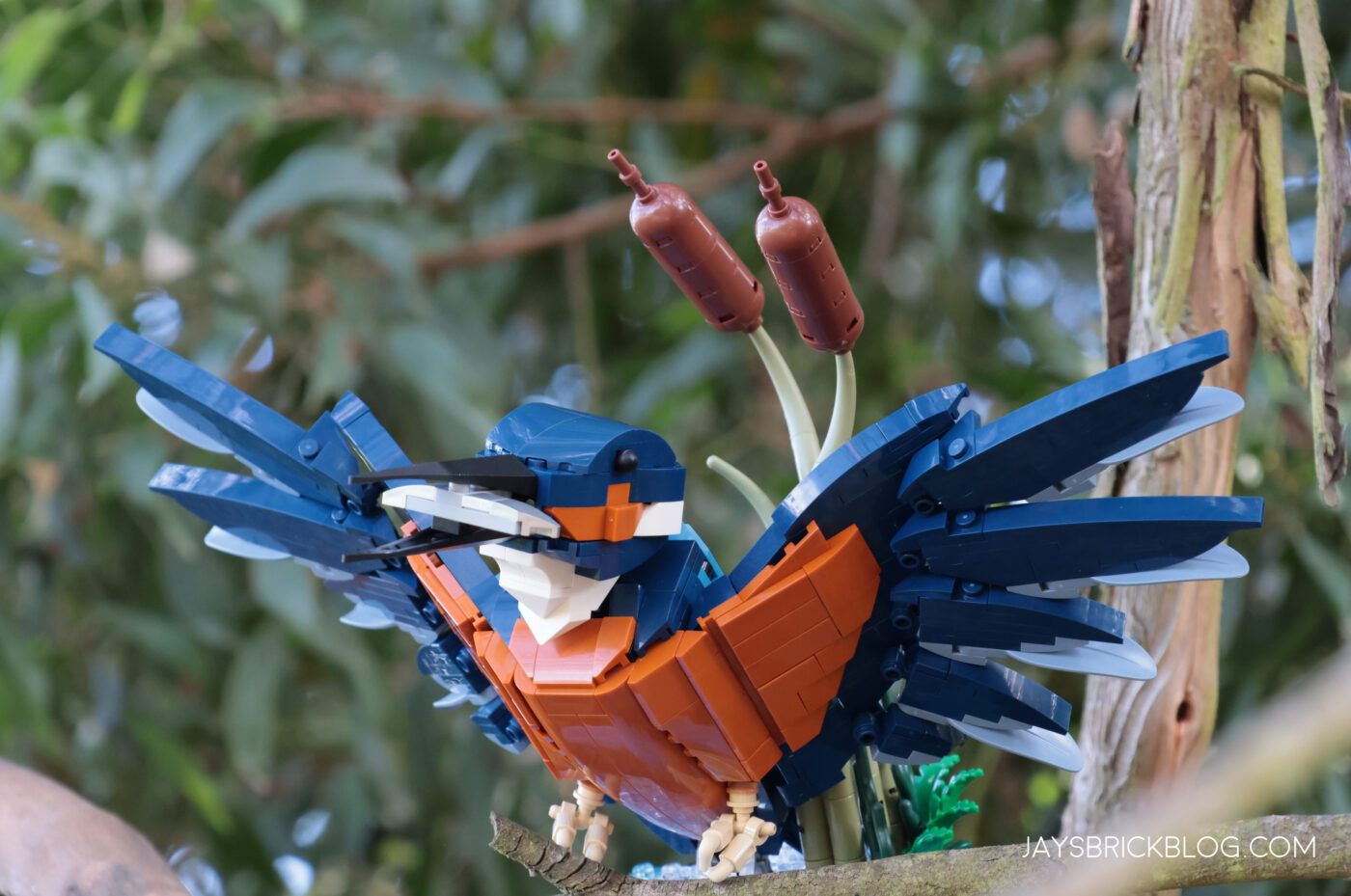 Review: LEGO 10331 Kingfisher Bird27