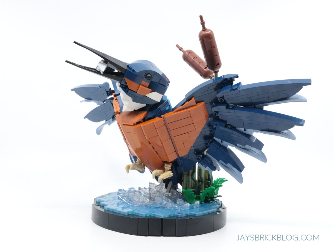 Review: LEGO 10331 Kingfisher Bird0